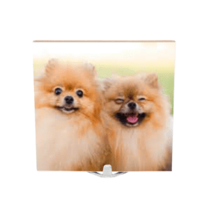 Azulejo Personalizado